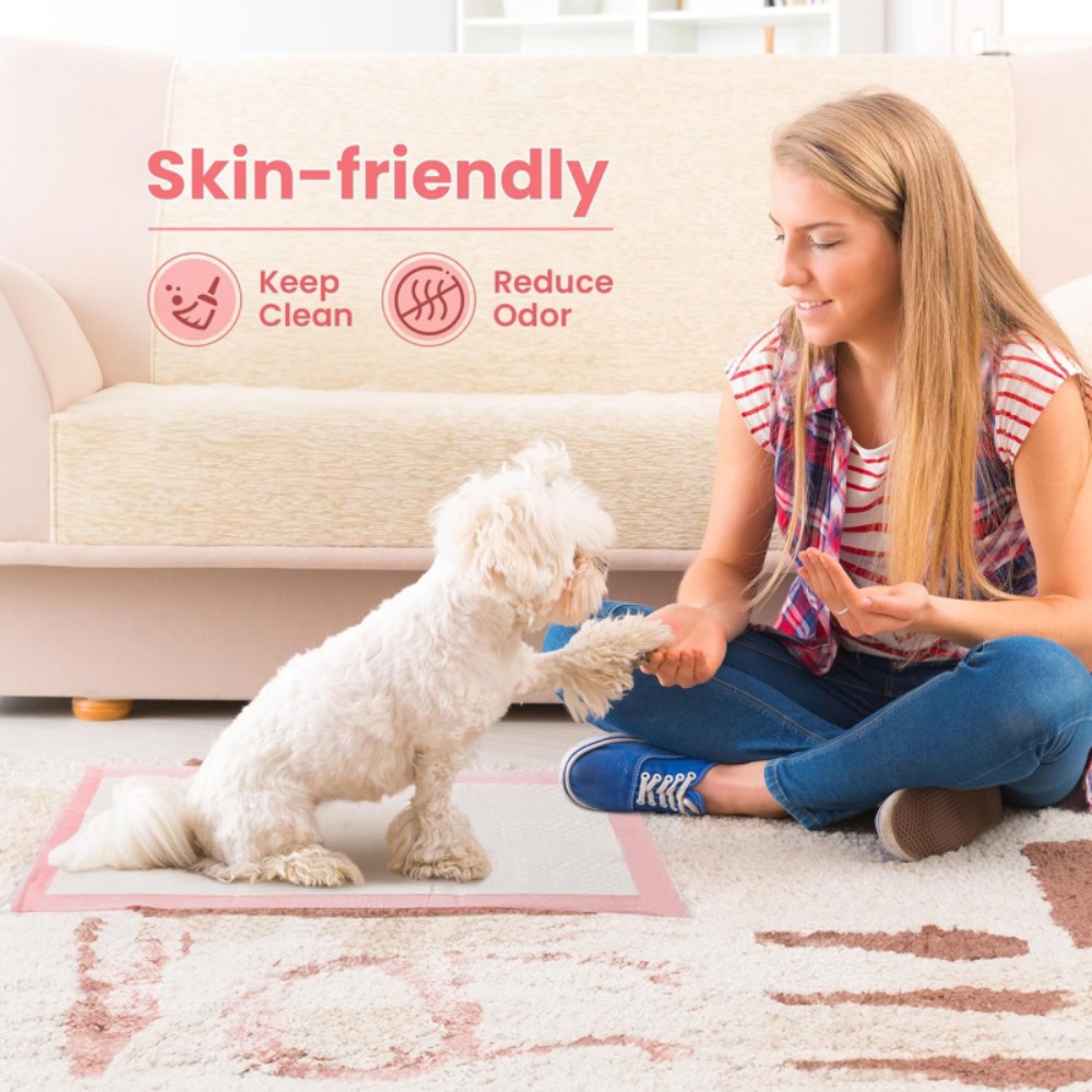 100/50/30/20/10Pcs Pet Toilet  - đánh giá và giá Home Bathroom Urinal