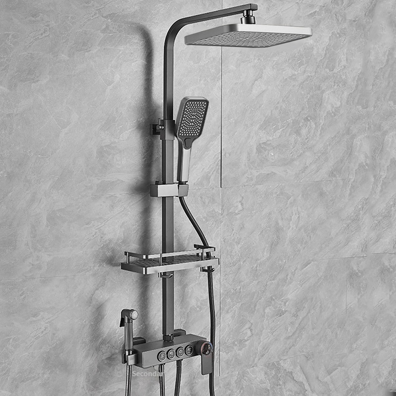 Stainless Steel Shower Set Ant - đánh giá và giá Shower Head Rain