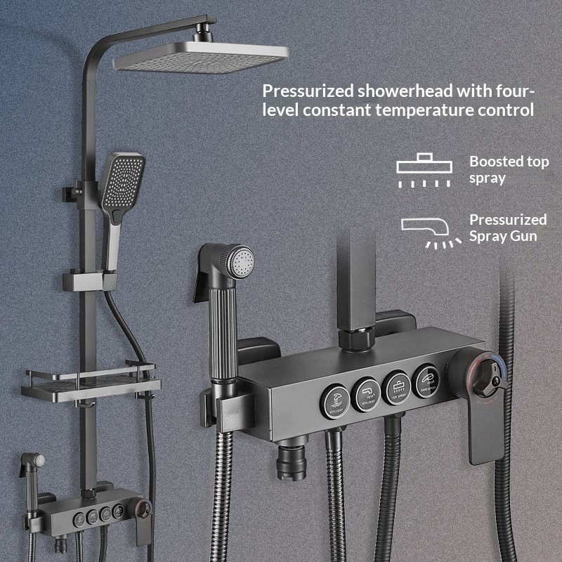 Stainless Steel Shower Set Ant - đánh giá và giá Shower Head Rain
